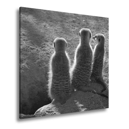 Leinwandbild Wächter im Sand – Erdmännchen im Sonnenlicht vereint. - deyoli