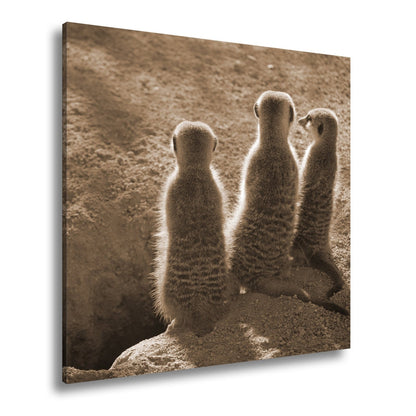 Leinwandbild Wächter im Sand – Erdmännchen im Sonnenlicht vereint. - deyoli