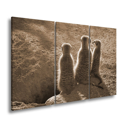 Leinwandbild Wächter im Sand – Erdmännchen im Sonnenlicht vereint. - deyoli