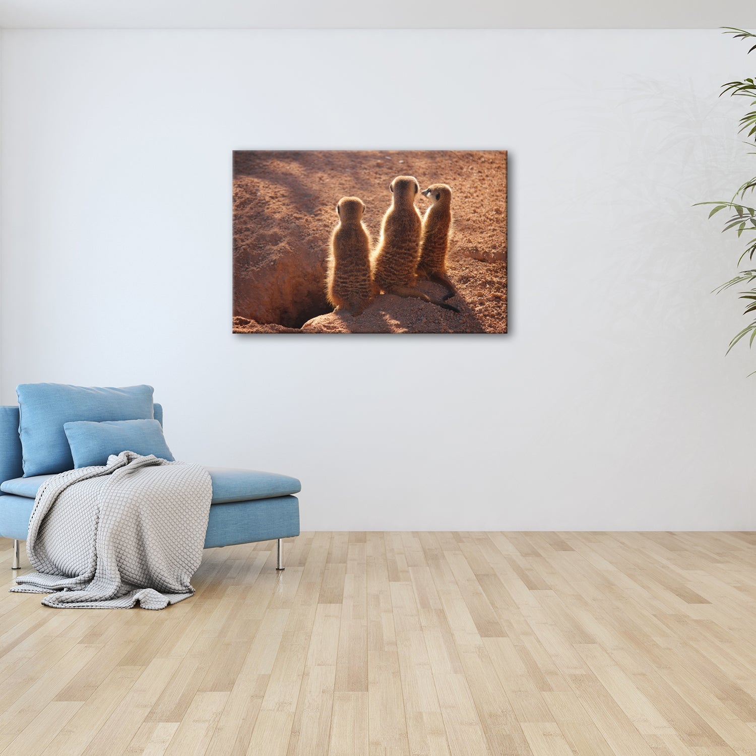 Leinwandbild Wächter im Sand – Erdmännchen im Sonnenlicht vereint. - deyoli