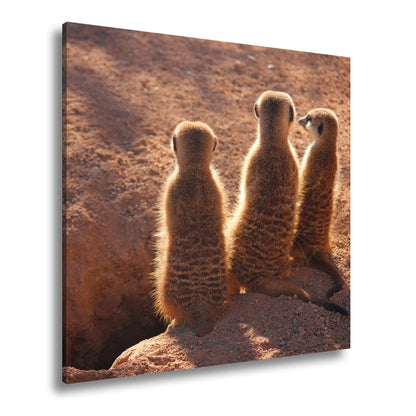 Leinwandbild Wächter im Sand – Erdmännchen im Sonnenlicht vereint. - deyoli