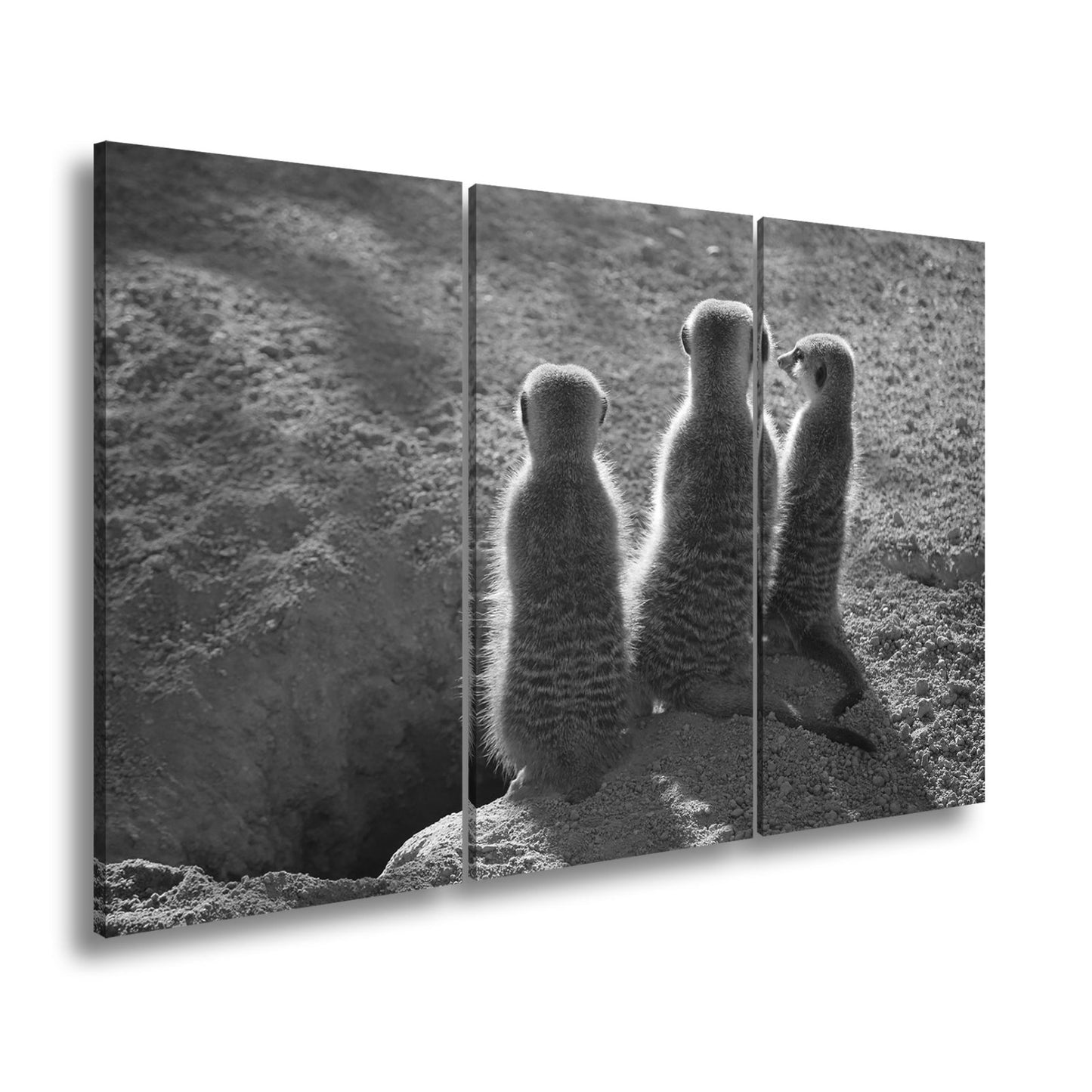 Leinwandbild Wächter im Sand – Erdmännchen im Sonnenlicht vereint. - deyoli