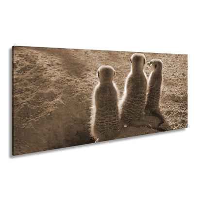 Leinwandbild Wächter im Sand – Erdmännchen im Sonnenlicht vereint. - deyoli