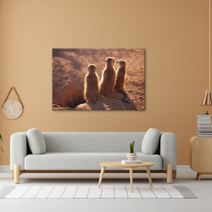 Leinwandbild Wächter im Sand – Erdmännchen im Sonnenlicht vereint. - deyoli