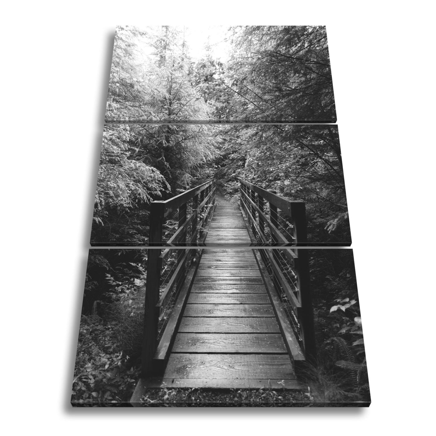 Leinwandbild Waldbrücke XXL – In goldenem Licht lädt zum Eintauchen in die Natur - deyoli