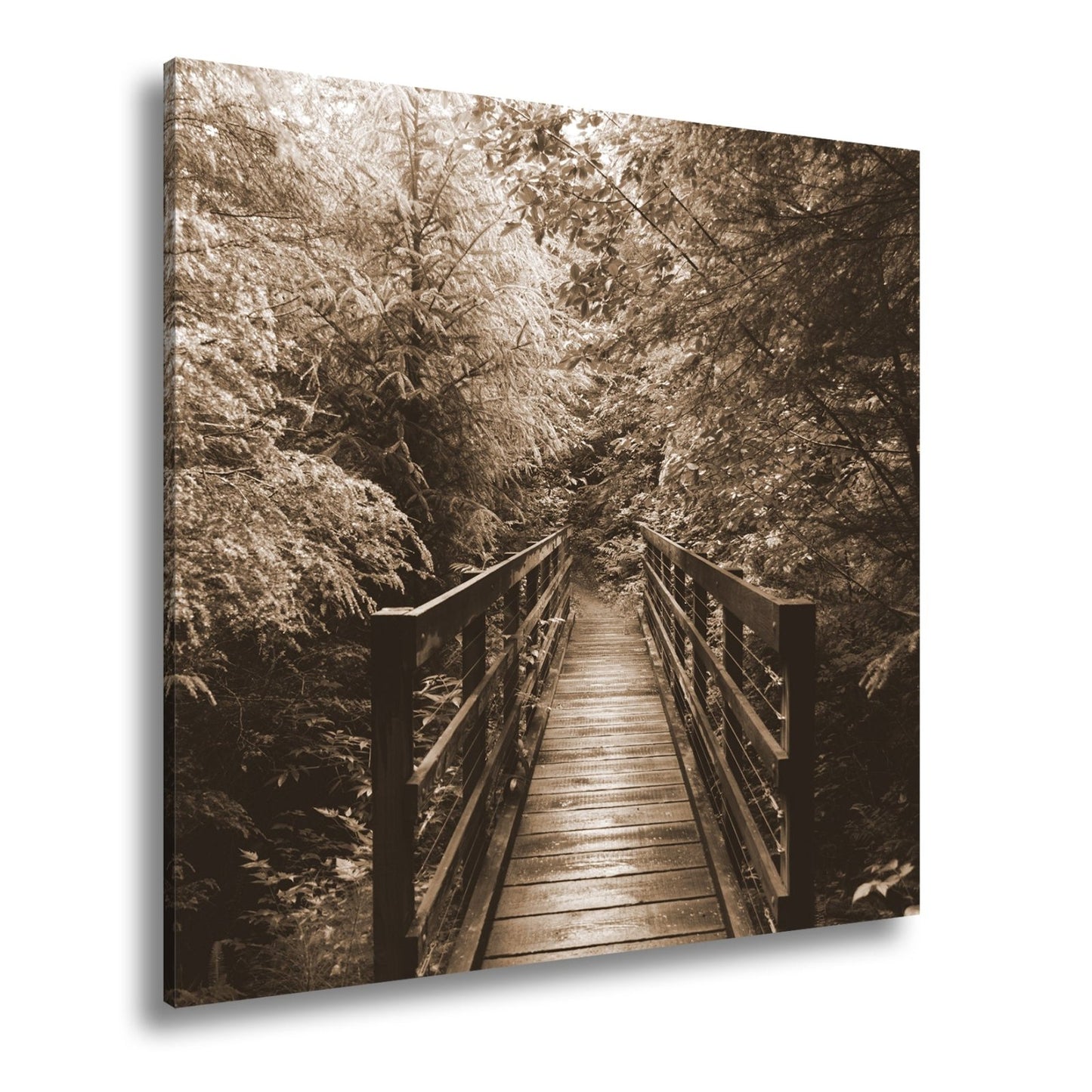 Leinwandbild Waldbrücke XXL – In goldenem Licht lädt zum Eintauchen in die Natur - deyoli