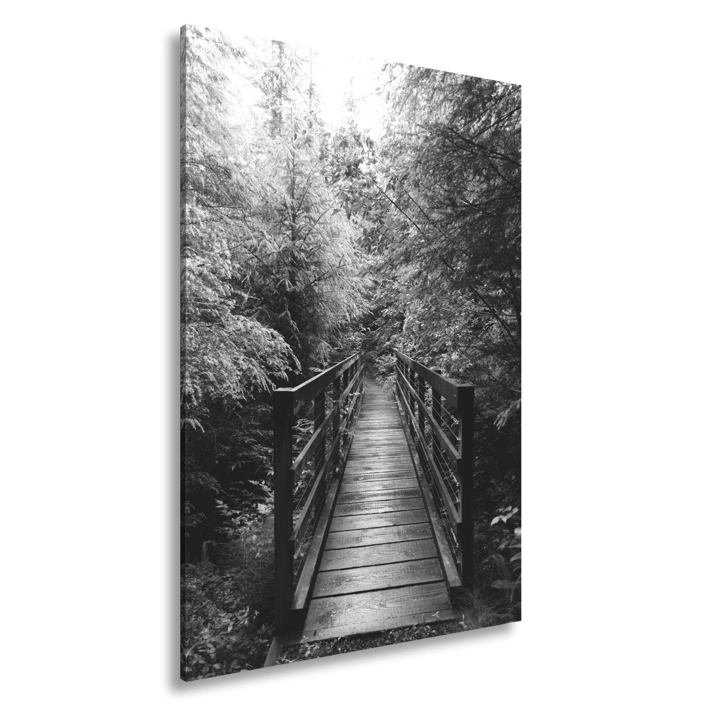 Leinwandbild Waldbrücke XXL – In goldenem Licht lädt zum Eintauchen in die Natur - deyoli