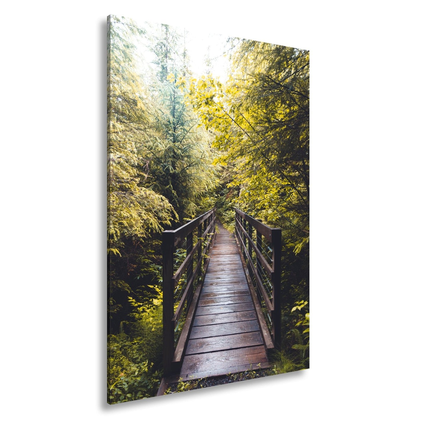 Leinwandbild Waldbrücke XXL – In goldenem Licht lädt zum Eintauchen in die Natur - deyoli