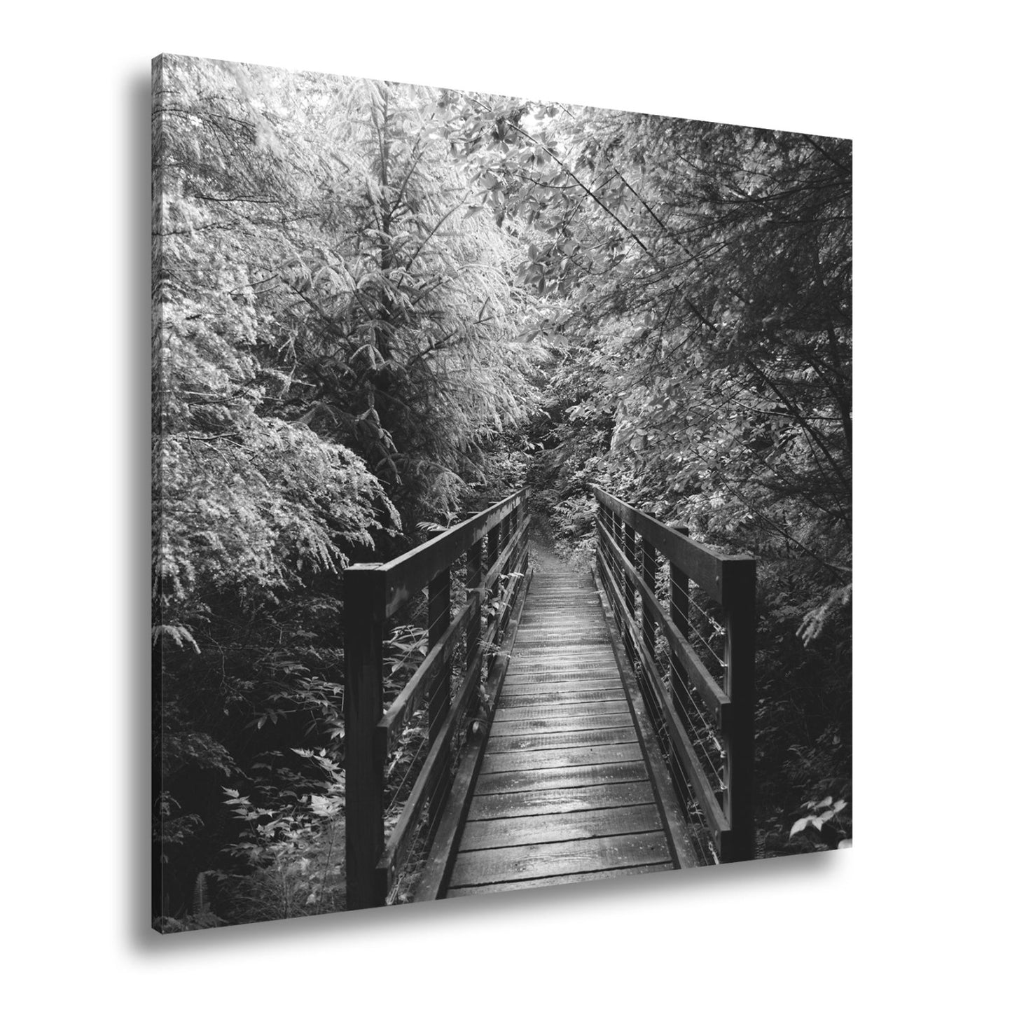 Leinwandbild Waldbrücke XXL – In goldenem Licht lädt zum Eintauchen in die Natur - deyoli