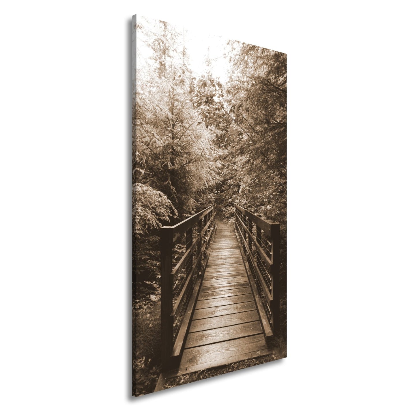 Leinwandbild Waldbrücke XXL – In goldenem Licht lädt zum Eintauchen in die Natur - deyoli