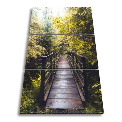 Leinwandbild Waldbrücke XXL – In goldenem Licht lädt zum Eintauchen in die Natur - deyoli