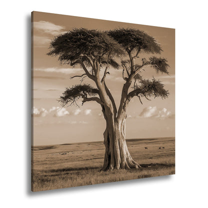 Leinwandbild Weiser Baum in goldener Savanne – Wächter der Weite. - deyoli