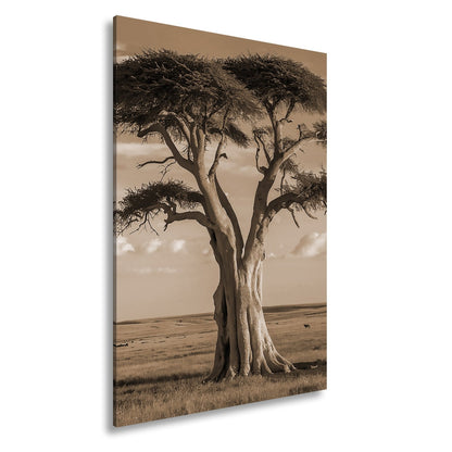 Leinwandbild Weiser Baum in goldener Savanne – Wächter der Weite. - deyoli