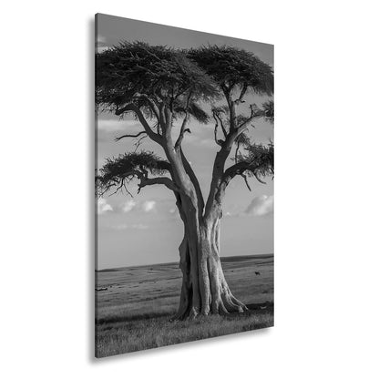 Leinwandbild Weiser Baum in goldener Savanne – Wächter der Weite. - deyoli