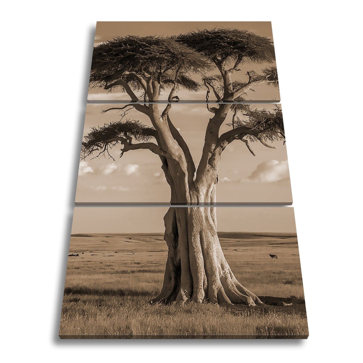 Leinwandbild Weiser Baum in goldener Savanne – Wächter der Weite. - deyoli