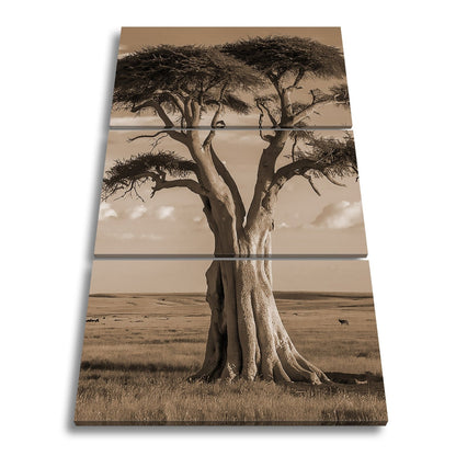 Leinwandbild Weiser Baum in goldener Savanne – Wächter der Weite. - deyoli