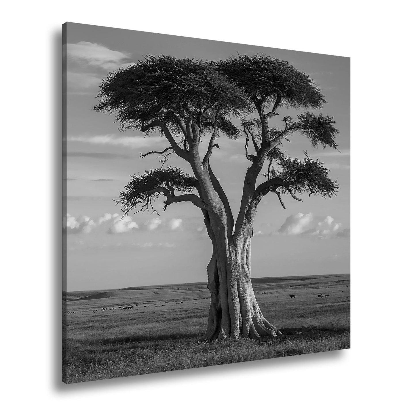 Leinwandbild Weiser Baum in goldener Savanne – Wächter der Weite. - deyoli