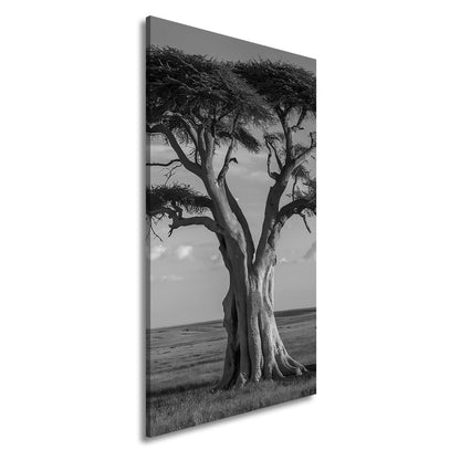 Leinwandbild Weiser Baum in goldener Savanne – Wächter der Weite. - deyoli