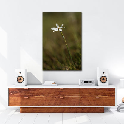 Leinwandbild Weiße Blüte trotzt still dem weiten, grünen Windmeer - deyoli