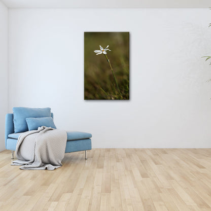 Leinwandbild Weiße Blüte trotzt still dem weiten, grünen Windmeer - deyoli