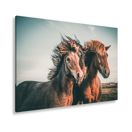 Leinwandbild Wilde Mähnen im Wind – Kraft und Freiheit vereint - deyoli