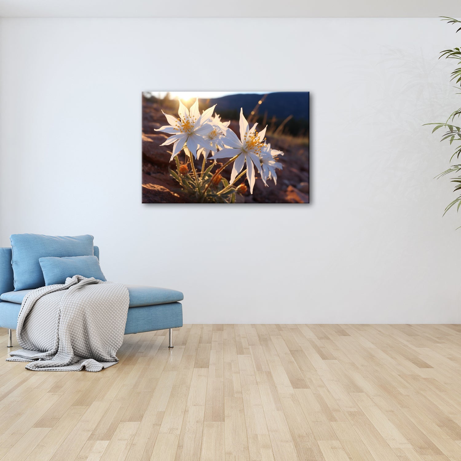 Leinwandbild Wüstenblumen XXL – Weiß strahlen im letzten Sonnenstrahl - deyoli