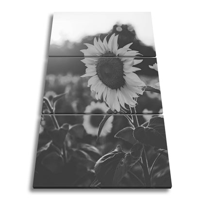 Leinwandbild XXL Blume Sonnenuntergang – Abendgold - deyoli