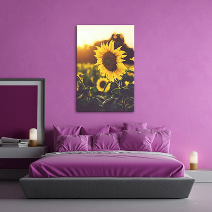 Leinwandbild XXL Blume Sonnenuntergang – Abendgold - deyoli