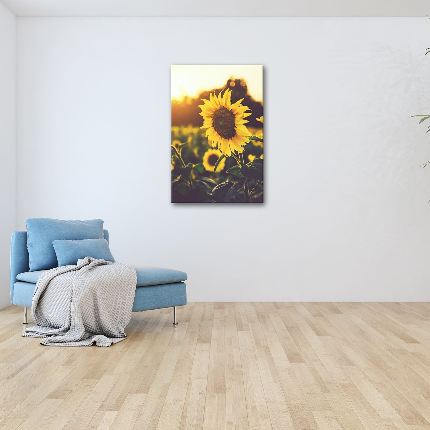 Leinwandbild XXL Blume Sonnenuntergang – Abendgold - deyoli
