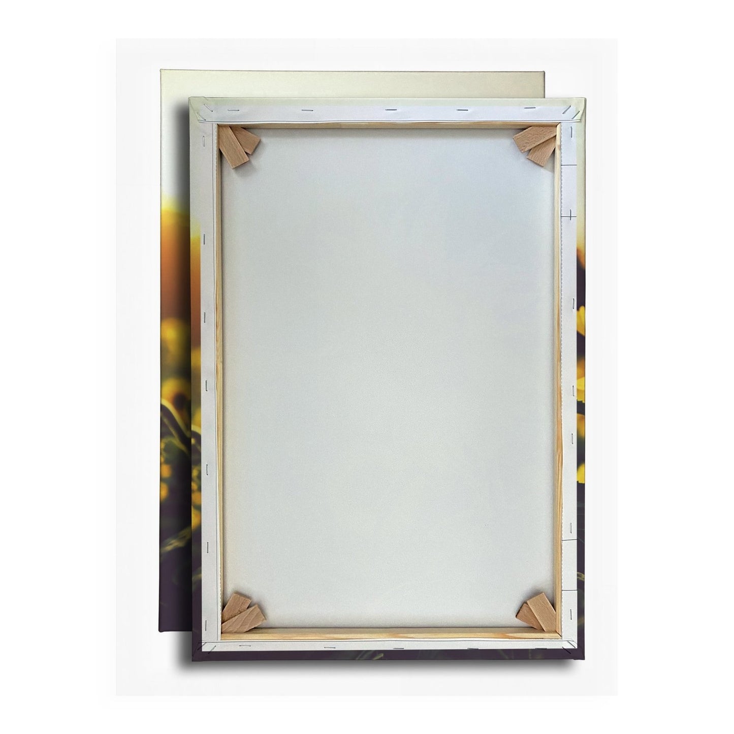 Leinwandbild XXL Blume Sonnenuntergang – Abendgold - deyoli