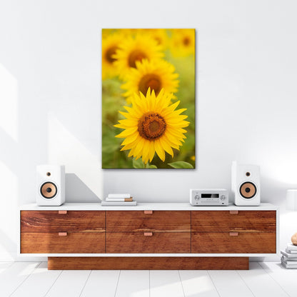 Leinwandbild XXL Blumen Sommer – Leuchtende Blüten - deyoli