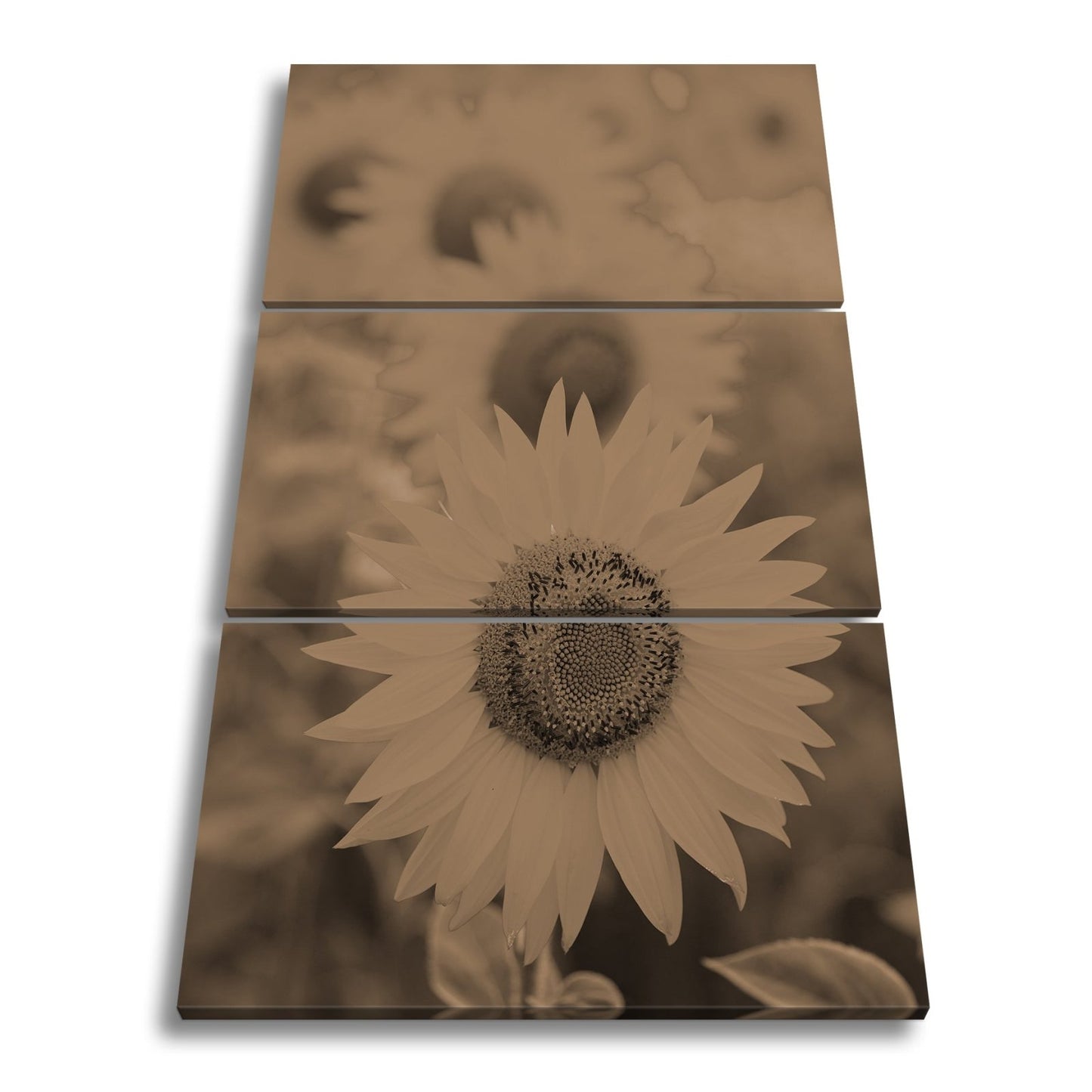 Leinwandbild XXL Blumen Sommer – Leuchtende Blüten - deyoli