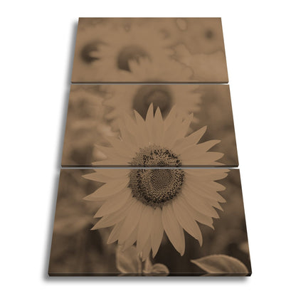 Leinwandbild XXL Blumen Sommer – Leuchtende Blüten - deyoli