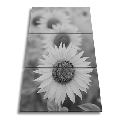Leinwandbild XXL Blumen Sommer – Leuchtende Blüten - deyoli