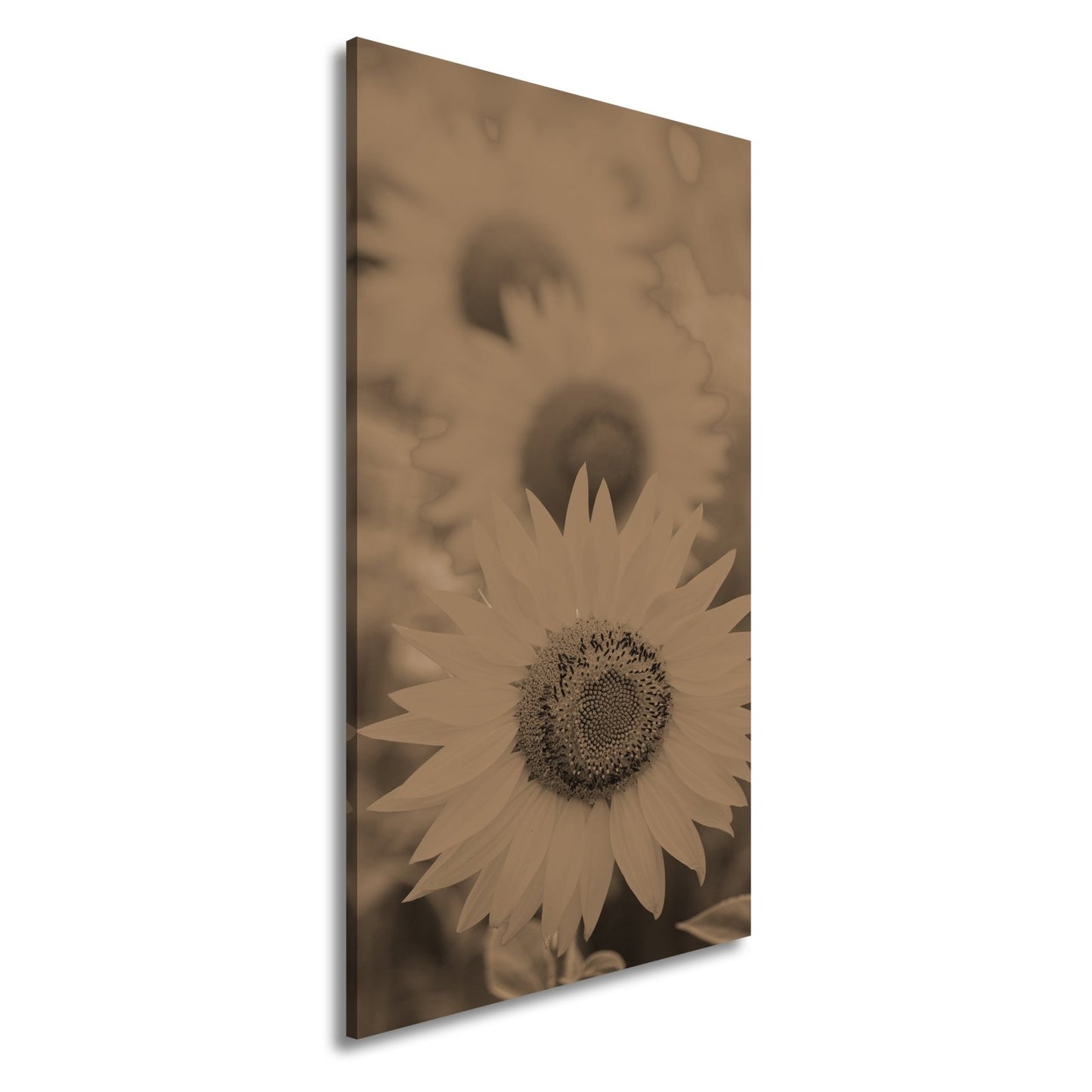 Leinwandbild XXL Blumen Sommer – Leuchtende Blüten - deyoli