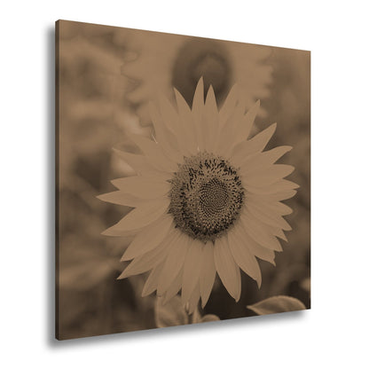 Leinwandbild XXL Blumen Sommer – Leuchtende Blüten - deyoli