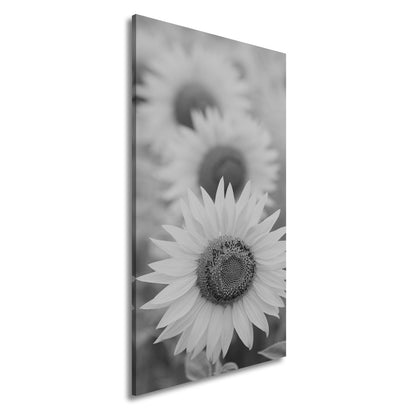 Leinwandbild XXL Blumen Sommer – Leuchtende Blüten - deyoli