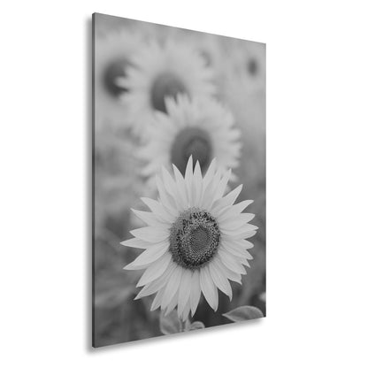 Leinwandbild XXL Blumen Sommer – Leuchtende Blüten - deyoli