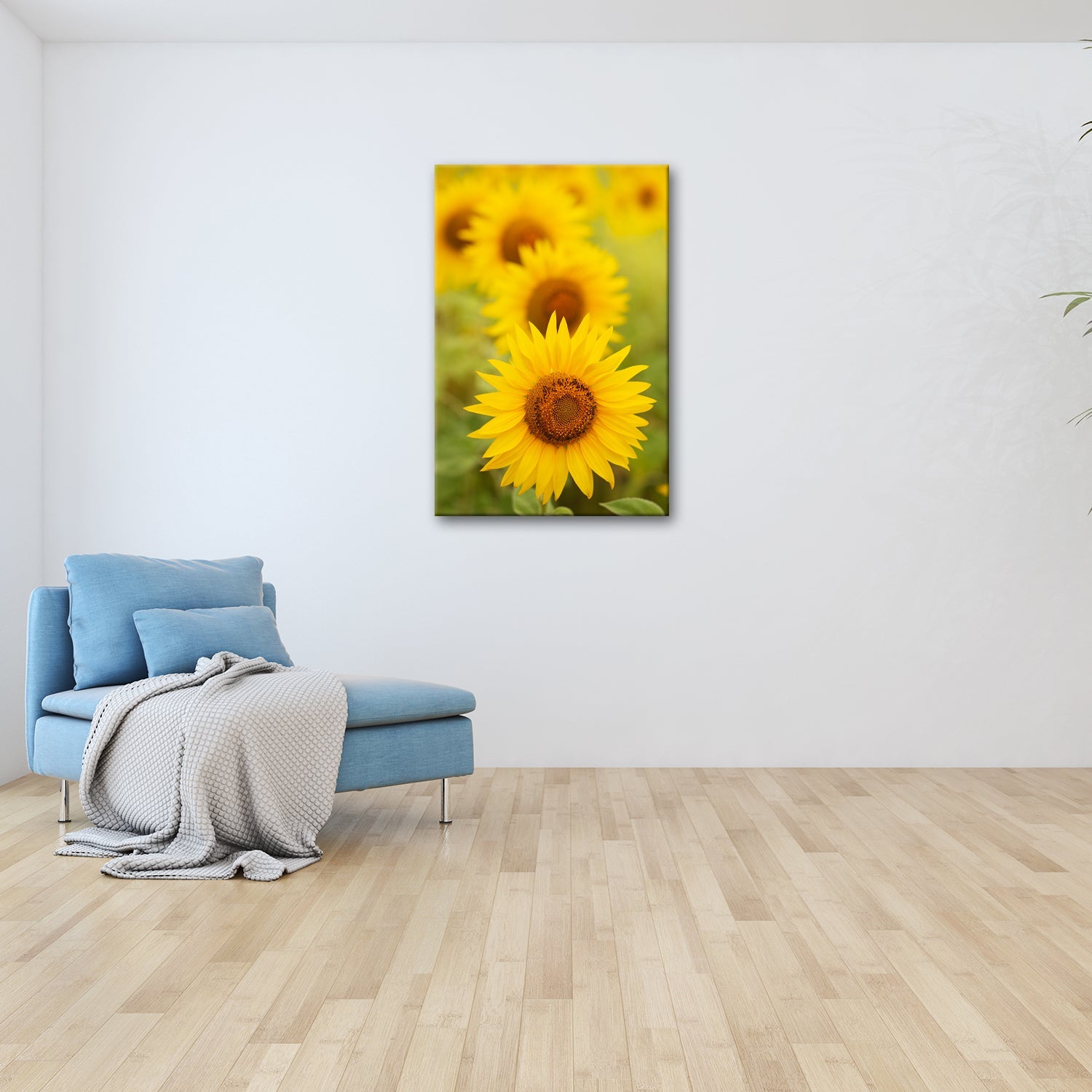 Leinwandbild XXL Blumen Sommer – Leuchtende Blüten - deyoli