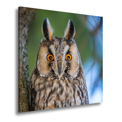 Leinwandbild XXL Eule Augen – Wachsam und Mystisch - deyoli