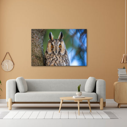 Leinwandbild XXL Eule Augen – Wachsam und Mystisch - deyoli