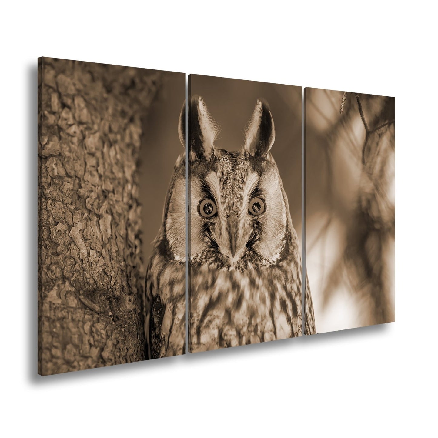 Leinwandbild XXL Eule Augen – Wachsam und Mystisch - deyoli
