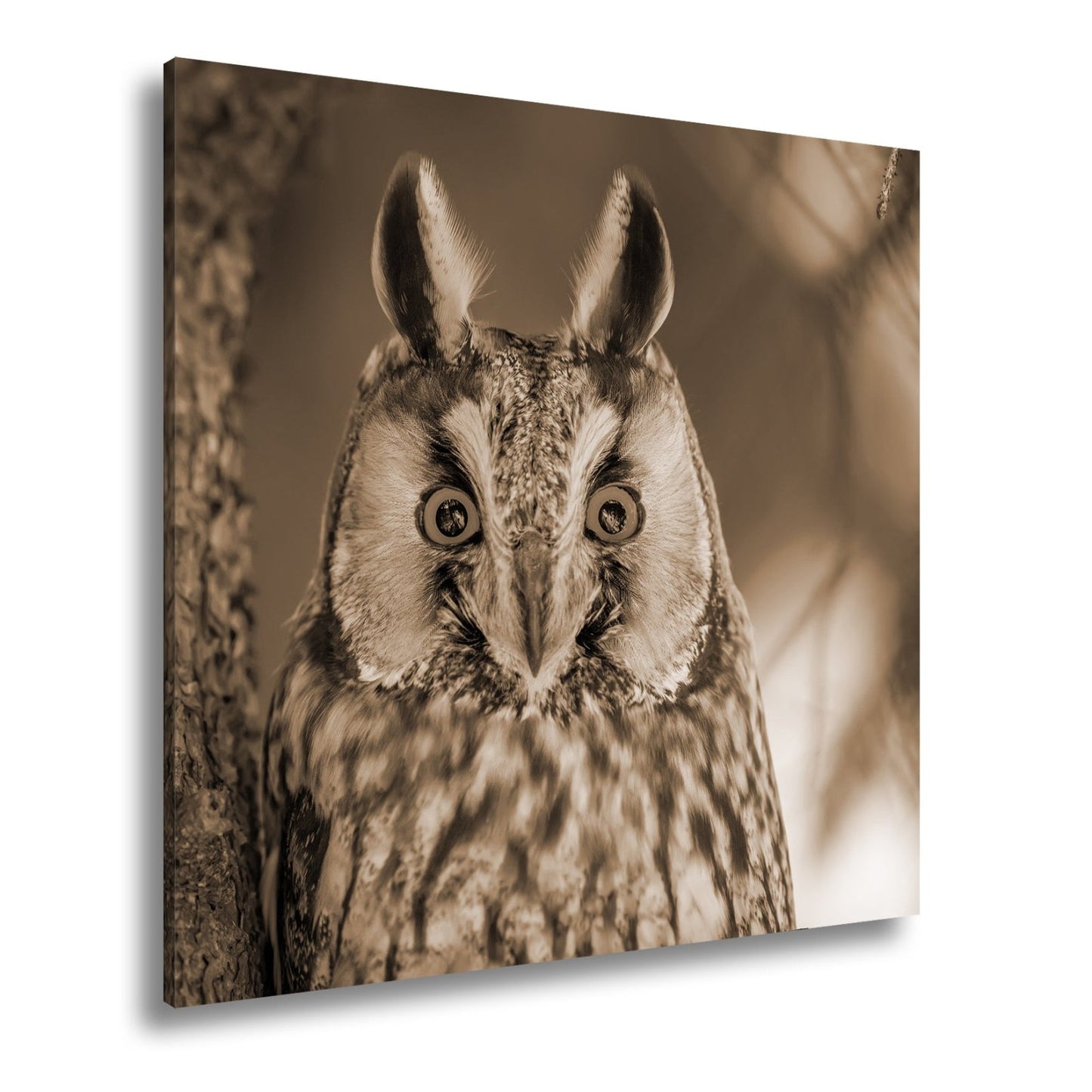 Leinwandbild XXL Eule Augen – Wachsam und Mystisch - deyoli