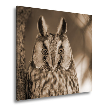 Leinwandbild XXL Eule Augen – Wachsam und Mystisch - deyoli