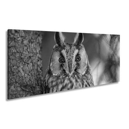 Leinwandbild XXL Eule Augen – Wachsam und Mystisch - deyoli