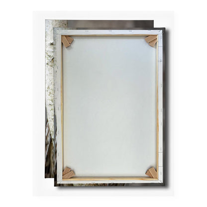 Leinwandbild XXL Eule Birke – Verschlafen an Rinde - deyoli