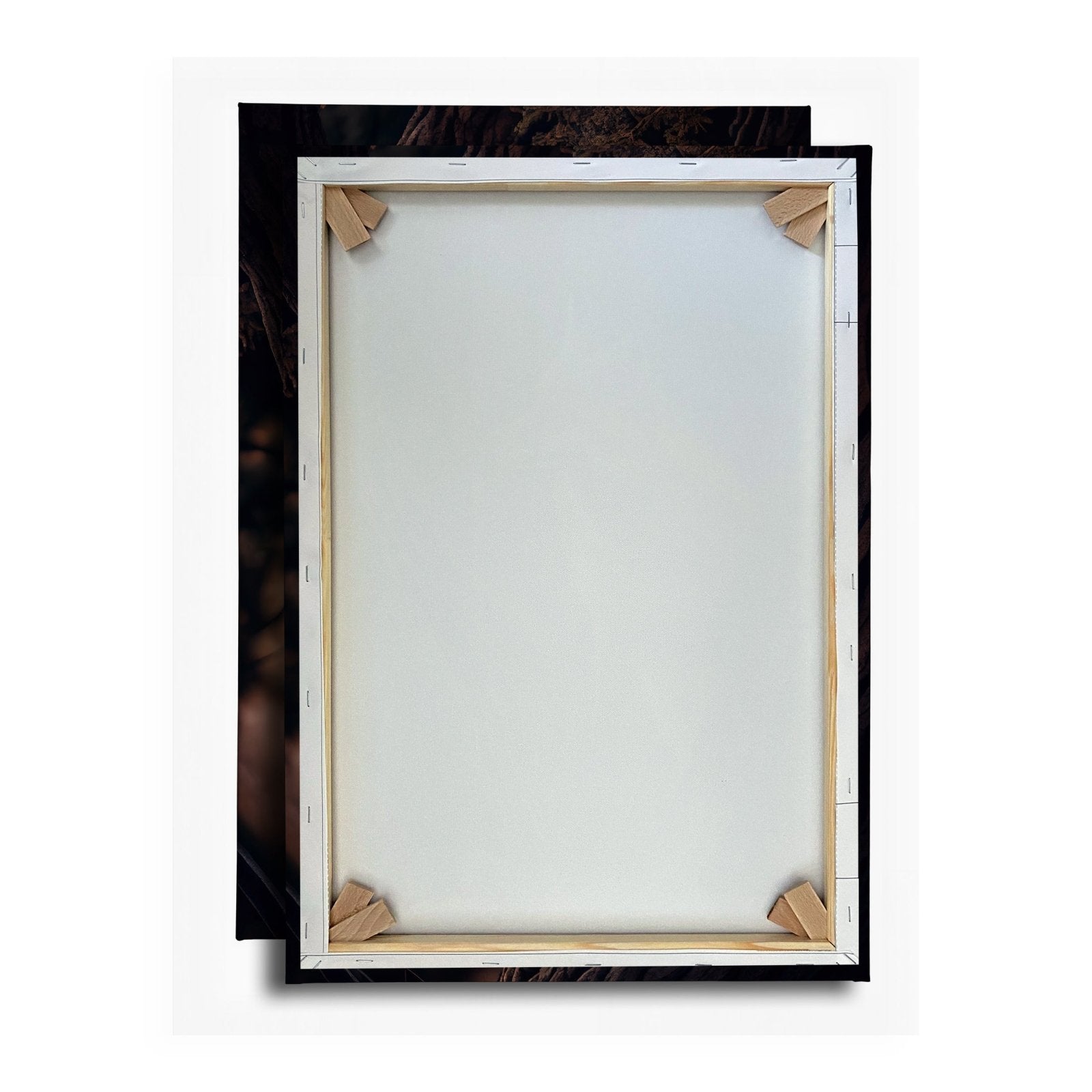 Leinwandbild XXL Fuchs – Elegant im Geäst als stiller Waldgeist - deyoli