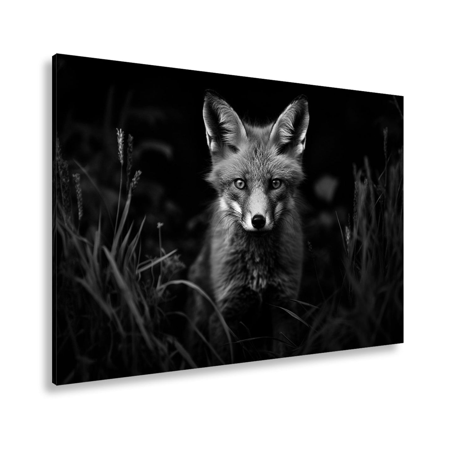 Leinwandbild XXL Fuchs – Fuchsblick im Schatten voller Magie - deyoli