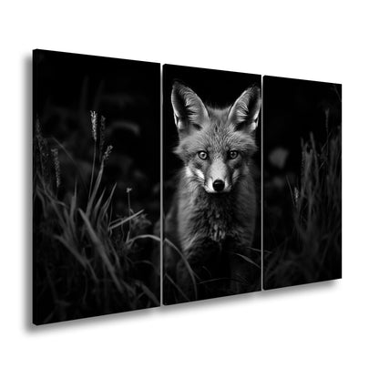 Leinwandbild XXL Fuchs – Fuchsblick im Schatten voller Magie - deyoli