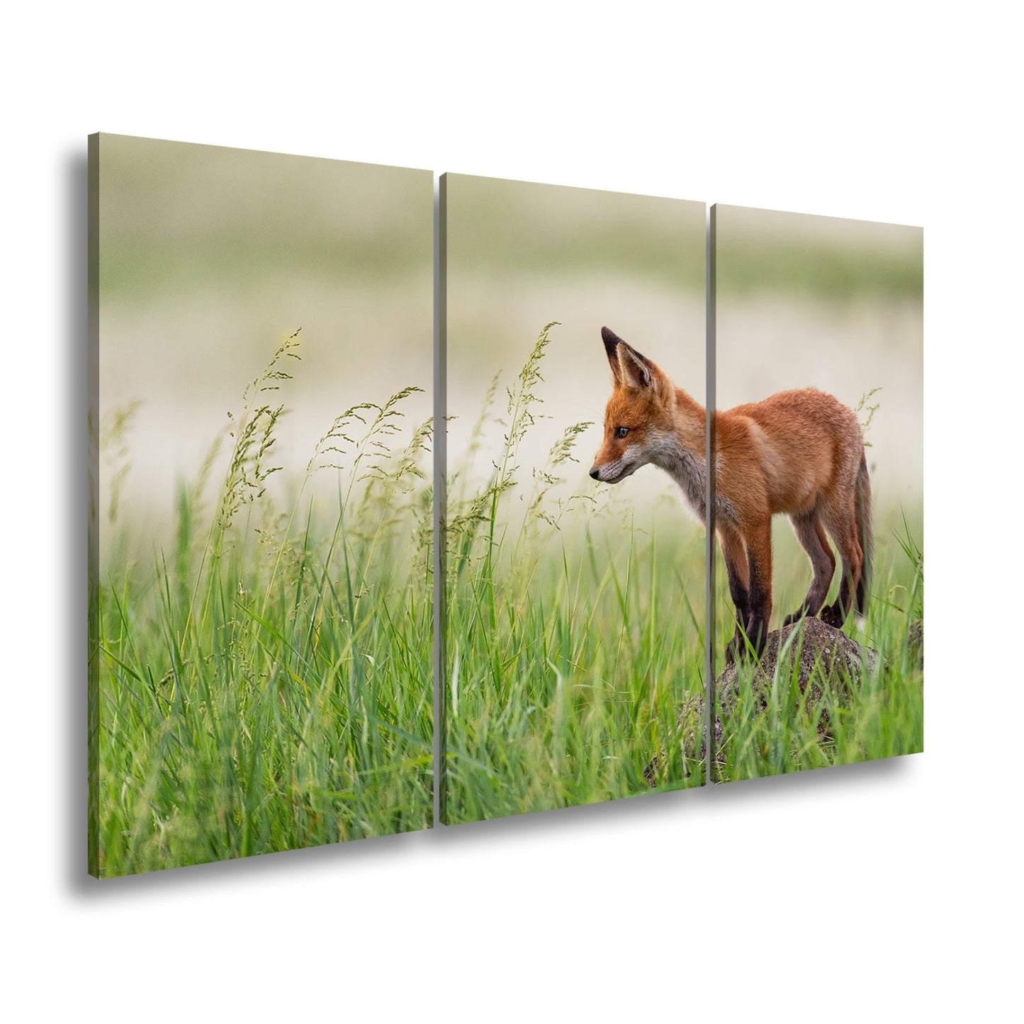 Leinwandbild XXL Fuchs – Jung, neugierig, bereit – ein Fuchs entdeckt die Welt. - deyoli